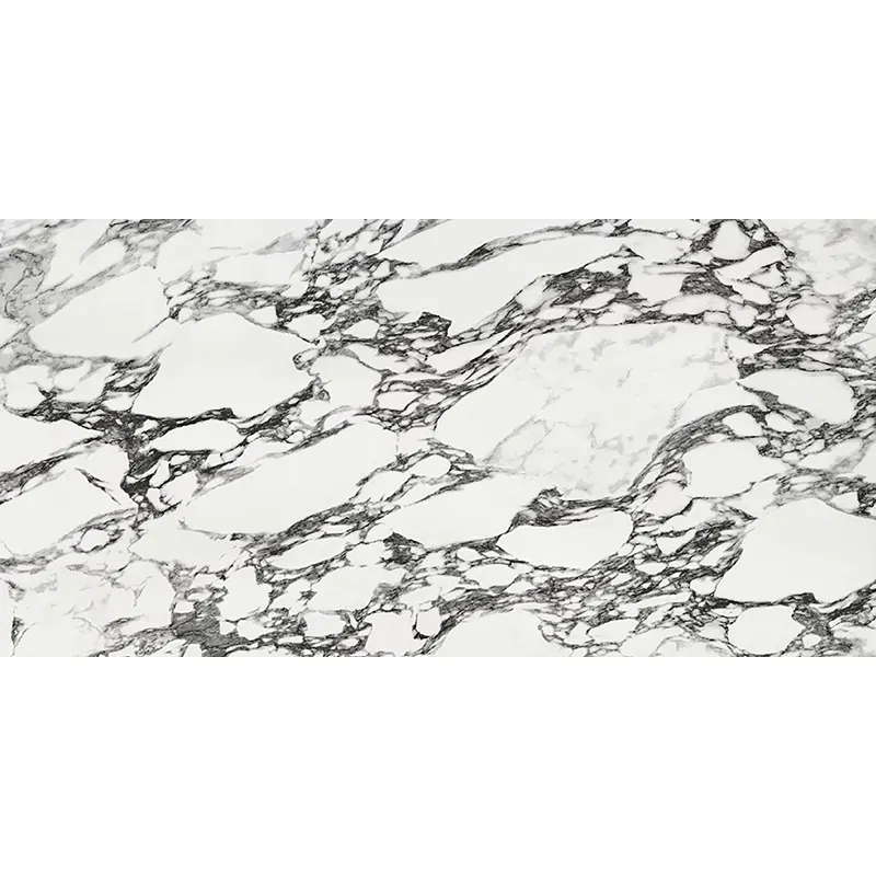 Carreaux de pierre de porcelaine polie aspect marbre de Carrare 60x60cm