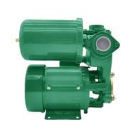 RUIQI pabrik PS130 0.37kW otomatis Priming mandiri pompa air 1/2HP rumah tangga penguat tekanan perifer listrik PS130 pompa