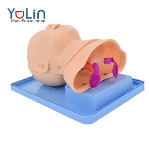 Neonatal tracheal intubation training model mouth and nose intubation baby care baby human anatomy model medical