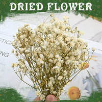 G179 Mini 50 pièces de gypsophile préservée, souffle de bébé, vente en gros, décorations de mariage pour la Saint-Valentin et Noël