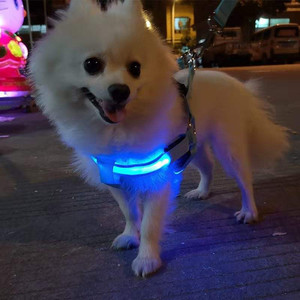 Collar <span class=keywords><strong>LED</strong></span> para Perro, Impermeable, Luminoso, Ajustable, Correa para Mascotas para Caminar de Noche, Collar de Seguridad Reflectante - Product Image 3