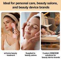 Appareil de beauté sans fil à électroporation CE FCC RoHS pour soins du visage, infusion profonde de nutriments, machine de rajeunissement lissant