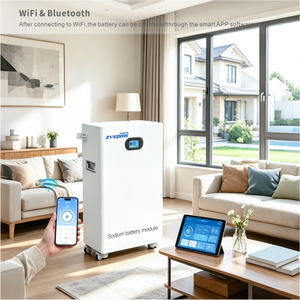 Batterie au sodium-ion 48V 5kWh, batterie de stockage au sodium Na-ion, banque d'alimentation solaire, Power Wall, batteries rechargeables au sodium-ion 100Ah - Product Image 1