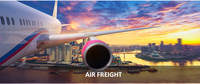 Servicio de Transporte Marítimo FCL/LCL de Guangdong, Envío Económico desde China a Baréin, Papúa Nueva Guinea, Arabia Saudita, Emiratos Árabes Unidos, Kuwait, Omán