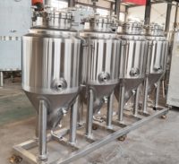 Système de fermentation de réservoir de fermenteur d'équipement de brassage de bière de 100L 200L