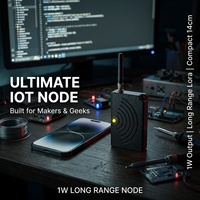 Kit de modules LoRa RAK 1W 30dbm, amplificateur de puissance élevée, dispositifs de réseau Meshcore Meshtastic, kits de produits
