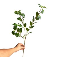 Semprotan Daun Mint Buatan Berkualitas Tinggi, Daun Buatan, Batang Tanaman Hijau Buatan untuk Bunga Buatan Dekorasi Pernikahan