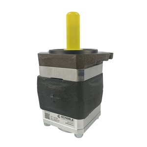 Bomba Hidráulica de Engranajes ECKERLE EIPH2 EIPH3 EIPH6 EIPH6-080/100/125/160 - Product Image 4