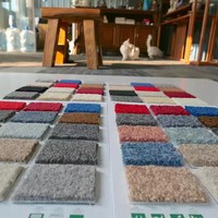 Modern Simple Luxury Polyester Carpet Roll and Rugs Woven for Home Use Washable for Living Room and Kitchen
