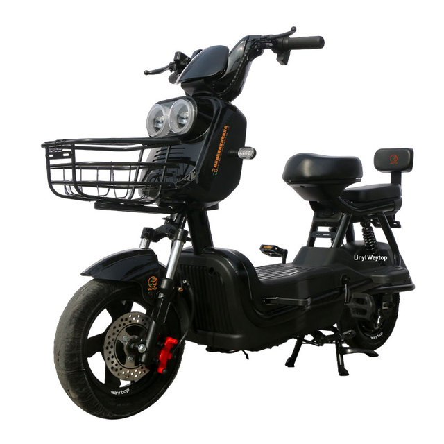 Factory Direct New Style 1000W Electric Bicycle for Adult Electric Bicycle