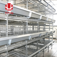 Système de cages en batterie de type H à 8 niveaux, galvanisé à chaud, automatique, pour poules pondeuses avec système d'évacuation du fumier et de collecte des œufs