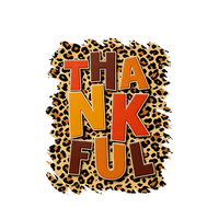 Transferts DTF en gros « Be Thankful » – Motifs lavables pour T-shirts