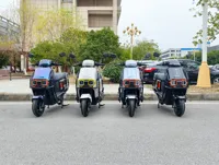 Moto électrique à succès 1000-2000W, cyclomoteur électrique 60V/72V