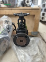 Vanne à opercule à bride en acier forgé DN25, classe 150, à commande manuelle, à tige montante, à disque à coin unique