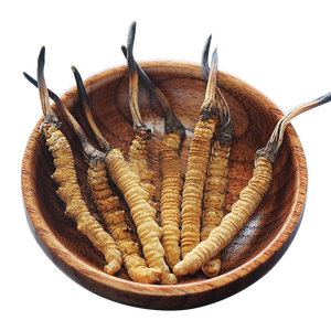 Pó de <span class=keywords><strong>cordyceps</strong></span> sinensis tibetano premium, cordycepin 1% 3% 5% 90% - Product Image 1
