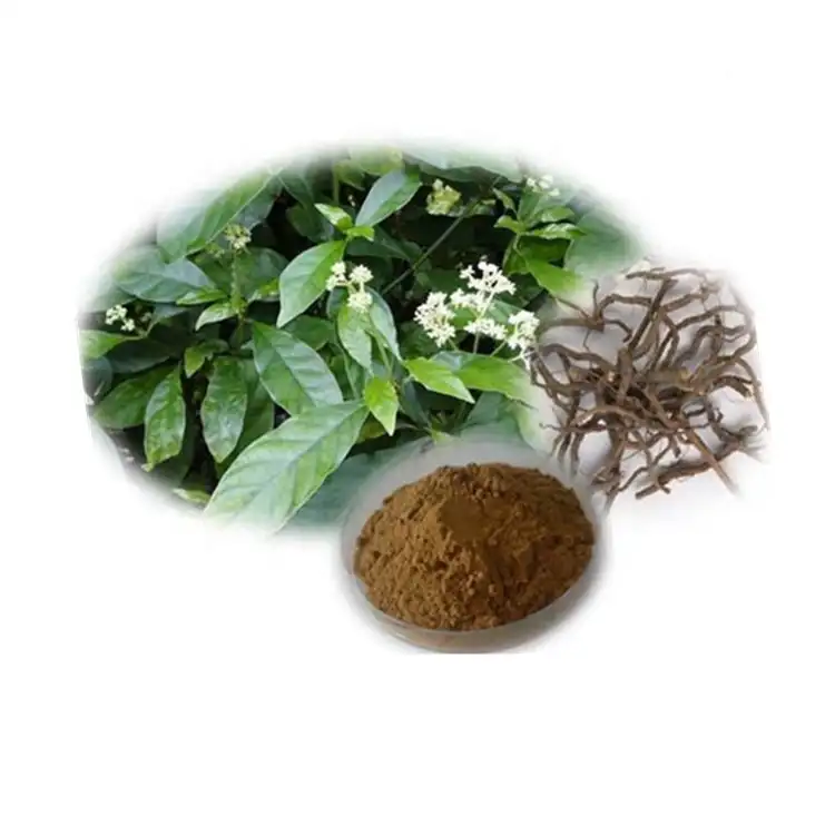 Extracto de hierbas, producto en oferta, extracto de raíz natural Ipecac/polvo de Ipecacuanha 10:1