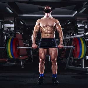 Factory Supplier Colored Polyurethane <strong>Rubber</strong> <strong>Coated</strong> <strong>Weight</strong> <strong>Plates</strong> - Product Image 3