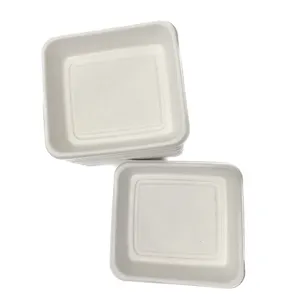 Assiettes en papier carrées compostables Assiettes jetables robustes de 10 pouces Assiettes de bagasse de canne à sucre biodégradables écologiques