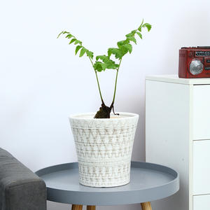 <span class=keywords><strong>Pot</strong></span> <span class=keywords><strong>de</strong></span> <span class=keywords><strong>fleur</strong></span> en céramique maison salon grande lumière blanche luxe senior rouge palm tortue dos bambou spécial argent arbre - Product Image 4