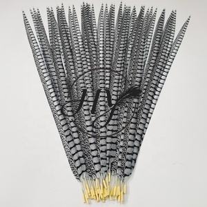 Plumes artificielles de faisan Amherst de 100 cm en gros pour sacs à dos de carnaval, samba et décorations de costumes de festival - Product Image 2