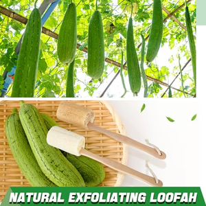 Loofah Back Scrubber for Shower Shellvcase Loofah on a Stick with <b>Natural</b> Loofah <b>Sponge</b> Exfoliating Body <b>Sponge</b> Scrubber - Product Image 6