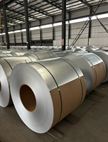 Bobina de acero galvanizado sin lentejuela Z275 Z140 Z120 Z40 Z20 para uso en láminas de techo para el hogar