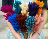 YC Décorations d'intérieur : Bouquet de fleurs séchées teintes Lagurus Ovatus, vente en gros d'usine, fabriqué avec la technique de teinture, herbe queue de lapin