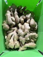 Gingembre frais de Chine, gingembre séché de haute qualité, prix d'usine, graines de gingembre à prix abordable