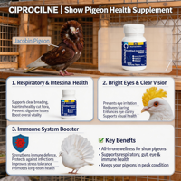 Poudre de grains pour la santé respiratoire et intestinale des pigeons, best-seller, pour la santé immunitaire du bétail, les yeux brillants et la protection contre l'adenovirus