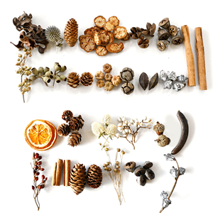 <span class=keywords><strong>Flores</strong></span> Secas al por Mayor y Materiales Vegetales Naturales, Suministros para Manualidades, Decoración Hecha a Mano - Product Image 5