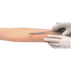 نموذج خياطة الجلد والتدريب على الخياطة الجراحية للعلم الطبي نموذج ذراع لتدريب الجلد على الخياطة - Product Image 1