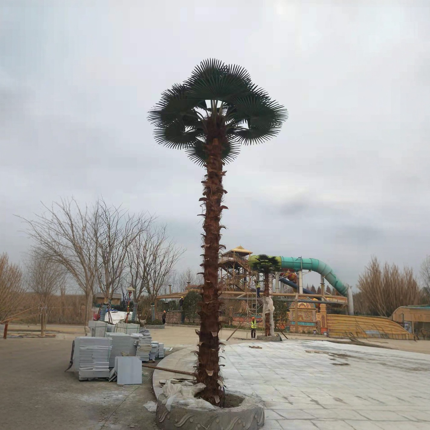 7m palm tree