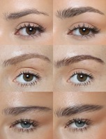 Teinture liquide naturelle imperméable pour sourcils, gel coiffant longue tenue avec fibres, personnalisable avec votre marque privée