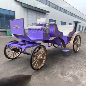 รถม้าไฟฟ้าวินเทจปี 2026 สุดหรูหราสำหรับการท่องเที่ยว  ขายรถชมวิวสุดหรู - Product Image 2