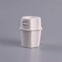 Boîte cadeau en pulpe de bagasse biodégradable moulée pour emballage de vin, personnalisable