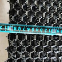 Solution de refroidissement durable pour serre de ferme avicole Cellules d'eau et coussinets de refroidissement en plastique pour rideau d'eau