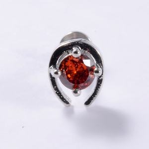 Labret en acier inoxydable zircone pour femme filetage interne goutte d'eau anneau à lèvres broche CZ <span class=keywords><strong>Tragus</strong></span> Helix oreille Piercing <span class=keywords><strong>fer</strong></span> à <span class=keywords><strong>cheval</strong></span> - Product Image 5