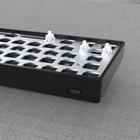 Keyboard Berkabel 61 Tombol dengan Lampu Latar Pelangi Ukuran Mini Fungsi Lengkap Mekanik untuk Gaming untuk Notebook Desktop