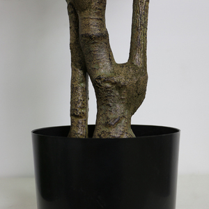 Faux arbre couleur <span class=keywords><strong>vert</strong></span> vif, 40 cm, décoration d'intérieur et extérieure, plante artificielle, arbre d'acacia, d'olive - Product Image 5