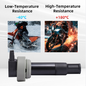Bobina di accensione ad alta tensione per moto <span class=keywords><strong>BMW</strong></span> Motorrad G650GS G650 Xchallenge G 650 Xcountry G650 Xmoto - Product Image 3