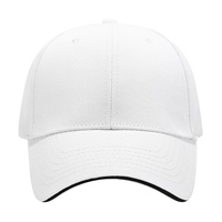 EMPRESA PROMOCIÓN EXTERIOR PERSONALIZADA 6 PANELES GORRAS DE BÉISBOL GOLF GORRAS MES TRUCKER GORRAS SANDWITCH VISOR