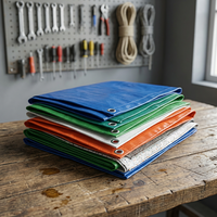 Taille personnalisée 100% Bâche HDPE étanche Feuille de plastique PE robuste en PE coloré avec services d'impression et de découpe