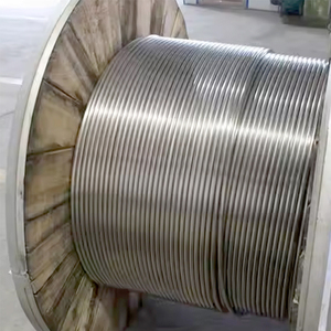 סליל ניקל מסגסוגת אינקולוי A-286 <span class=keywords><strong>800</strong></span> 825 <span class=keywords><strong>ASTM</strong></span> B407 B423 עמיד בטמפרטורות גבוהות למנועי סילון - Product Image 3