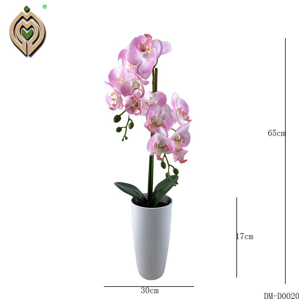 flower bulbs and seeds