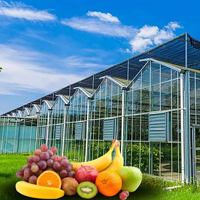 Serre Agricole Solaire Avancée ZhuoTai – Matériaux en Acier Durables, Grand Cadre Tubulaire Rond Stable pour Usage en Jardinage