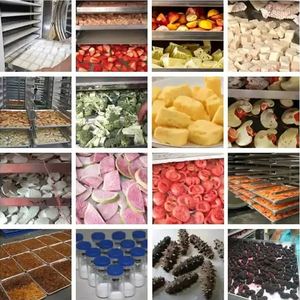 Máquina Liofilizadora Comercial de Alta Resistencia para Frutas y Verduras, Acero Inoxidable 304, Capacidad de 500-1000 kg/h, Garantía de 4 Años, en Oferta - Product Image 5