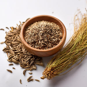 Graines de cumin vert triées à la main pour un goût pur, un assaisonnement et une utilisation fiable dans la préparation des aliments - Product Image 2