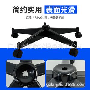 170cm human skeleton model comes with a black iron base, a <b>plastic</b> base and stand, and an iron <b>rod</b>. - Product Image 3