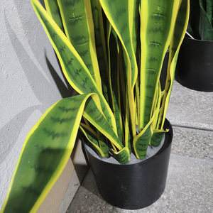 <span class=keywords><strong>Vendita</strong></span> calda all'aperto pianta di serpente <span class=keywords><strong>Bonsai</strong></span> verde fogliame artificiale <span class=keywords><strong>Bonsai</strong></span> per la decorazione domestica materiale plastico durevole - Product Image 2
