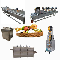 Gevriesdroogd Fruit Productielijn Jackfruit Chips Verwerkingsfabriek Citroenananas Drogen Uitdroging Machines Maken Machine